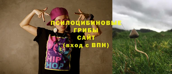 соль ск Алексеевка