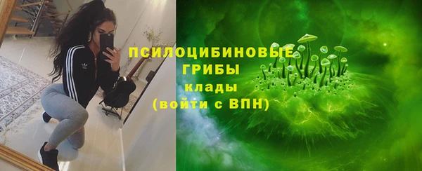 прущие крисы Абинск