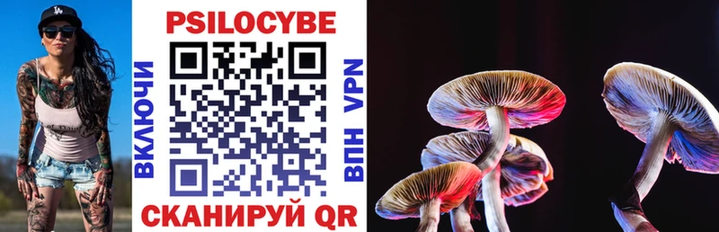 Галлюциногенные грибы Psilocybe  купить закладку  Новомичуринск 